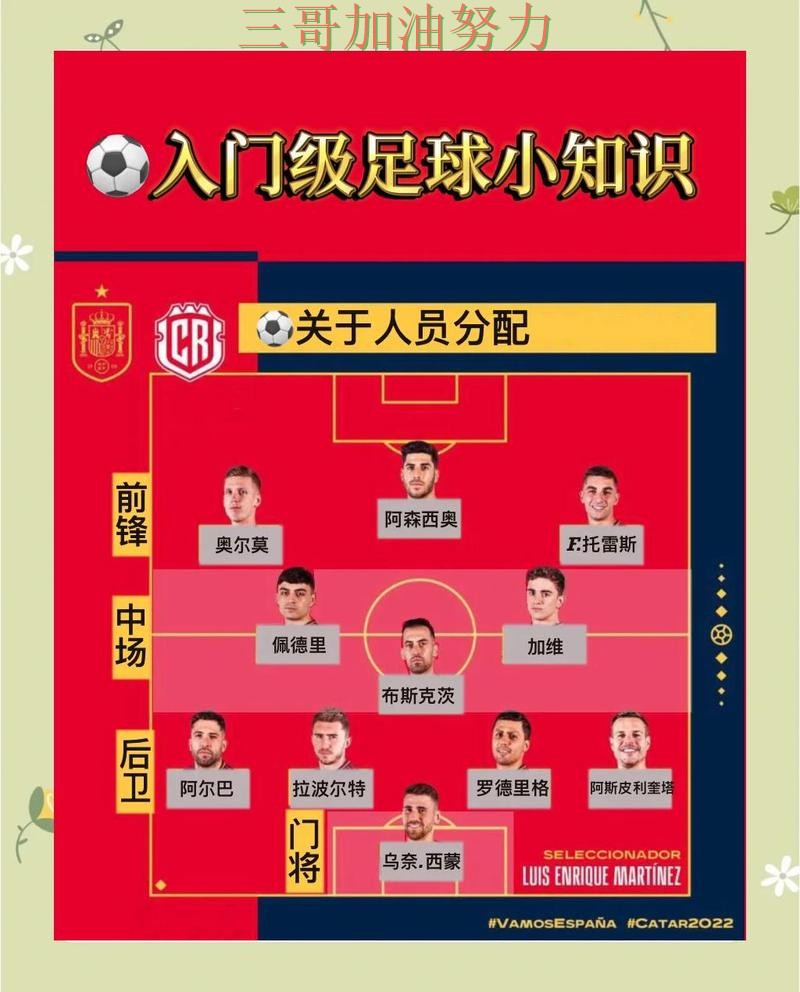 世界杯买球如何操作别乱选，深度解析给你答案（全球总决赛）