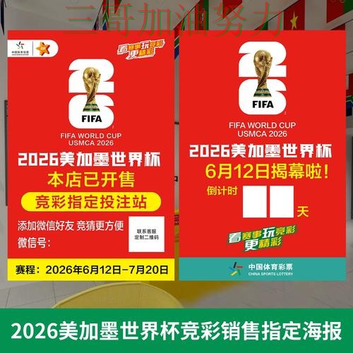 世界杯投注实测对比实录：是否值得用真实情况曝光（世界杯官方信息）